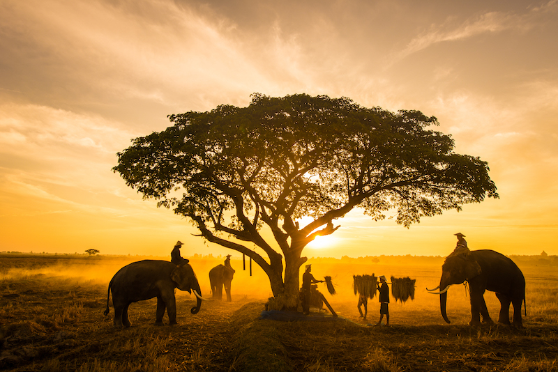Exploring Africa, Africa 